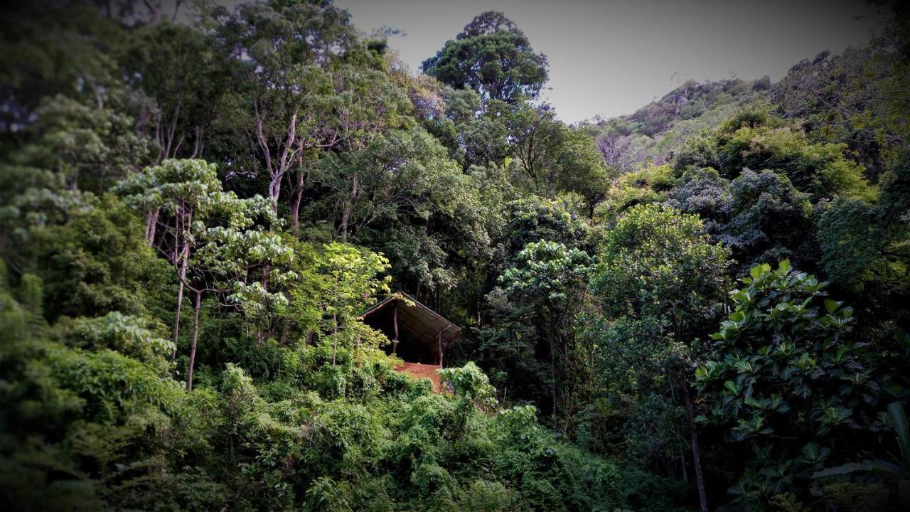 Chalet In The Jungle Pallegama Exterior foto